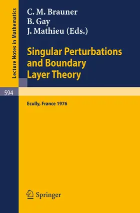 Brauner / Gay / Mathieu |  Singular Perturbations and Boundary Layer Theory | Buch |  Sack Fachmedien