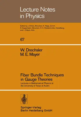 Drechsler / Mayer / Böhm |  Fiber Bundle Techniques in Gauge Theories | Buch |  Sack Fachmedien