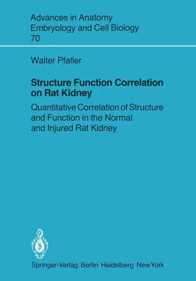 Pfaller | Structure Function Correlation on Rat Kidney | Buch | 978-3-540-11074-3 | www.sack.de