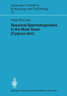 Breucker |  Seasonal Spermatogenesis in the Mute Swan (Cygnus olor) | Buch |  Sack Fachmedien