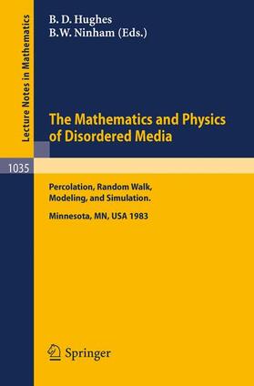 Ninham / Hughes | The Mathematics and Physics of Disordered Media | Buch | 978-3-540-12707-9 | sack.de