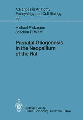 Rickmann / Wolff |  Prenatal Gliogenesis in the Neopallium of the Rat | Buch |  Sack Fachmedien