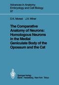 Winer / Morest |  The Comparative Anatomy of Neurons: Homologous Neurons in the Medial Geniculate Body of the Opossum and the Cat | Buch |  Sack Fachmedien