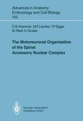 Krammer / Bach / Gruber |  The Motoneuronal Organization of the Spinal Accessory Nuclear Complex | Buch |  Sack Fachmedien