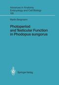 Bergmann |  Photoperiod and Testicular Function in Phodopus sungorus | Buch |  Sack Fachmedien