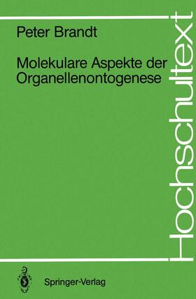 Brandt | Molekulare Aspekte der Organellenontogenese | Buch | 978-3-540-18959-6 | sack.de
