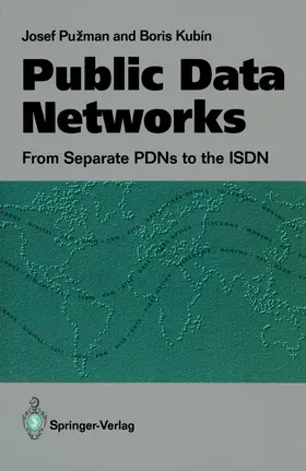 Puzman / Kubin |  Public Data Networks | Buch |  Sack Fachmedien