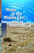 Jaeschke / Zereini |  Water in the Middle East and in North Africa | Buch |  Sack Fachmedien