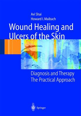 Shai / Maibach | Wound Healing and Ulcers of the Skin | Buch | 978-3-540-21275-1 | sack.de