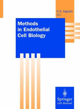 Augustin |  Methods in Endothelial Cell Biology | Buch |  Sack Fachmedien