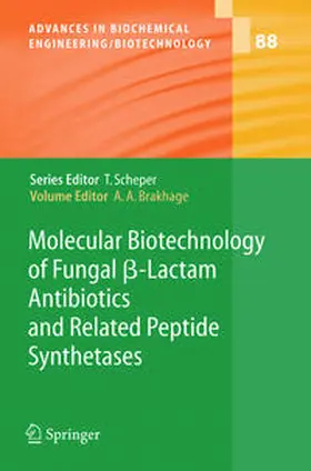 Brakhage |  Molecular Biotechnology of Fungal ß-Lactam Antibiotics and Related Peptide Synthetases | Buch |  Sack Fachmedien