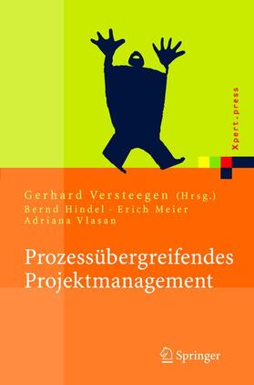 Hindel / Vlasan / Versteegen |  Prozessübergreifendes Projektmanagement | Buch |  Sack Fachmedien