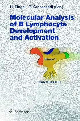 Singh / Grosschedl |  Molecular Analysis of B Lymphocyte Development and Activation | Buch |  Sack Fachmedien