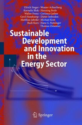 Steger / Achterberg / Blok | Sustainable Development and Innovation in the Energy Sector | Buch | sack.de