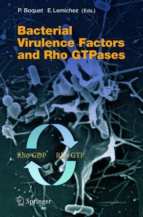Lemichez / Boquet | Bacterial Virulence Factors and Rho GTPases | Buch | 978-3-540-23865-2 | sack.de