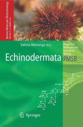 Matranga | Echinodermata | Buch | 978-3-540-24402-8 | sack.de