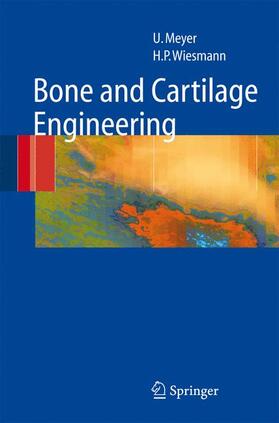 Meyer / Wiesmann | Bone and Cartilage Engineering | Buch | 978-3-540-25347-1 | sack.de