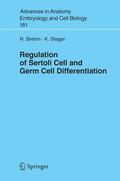 Steger / Brehm |  Regulation of Sertoli Cell and Germ Cell Differentiation | Buch |  Sack Fachmedien