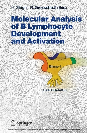 Singh / Grosschedl |  Molecular Analysis of B Lymphocyte Development and Activation | eBook | Sack Fachmedien