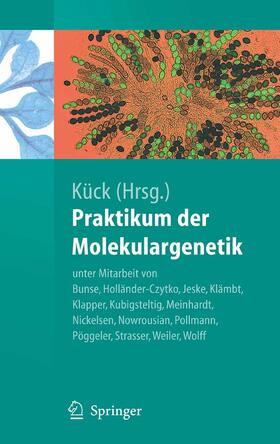 Bunse / Kück / Holländer-Czytko | Praktikum der Molekulargenetik | E-Book | sack.de