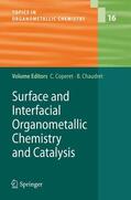 Copéret / Chaudret |  Surface Interfacial Organometallic Chemistry and Catalysis | Buch |  Sack Fachmedien