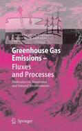 Tremblay / Varfalvy / Roehm |  Greenhouse Gas Emissions - Fluxes and Processes | eBook | Sack Fachmedien