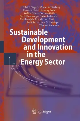 Steger / Achterberg / Kost |  Sustainable Development and Innovation in the Energy Sector | eBook | Sack Fachmedien