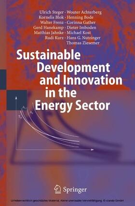 Steger / Achterberg / Blok | Sustainable Development and Innovation in the Energy Sector | E-Book | sack.de