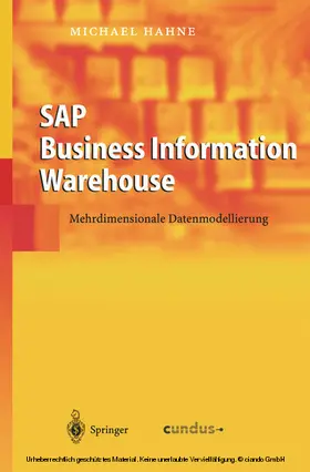 Hahne | SAP Business Information Warehouse | E-Book | www.sack.de