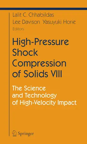 Chhabildas / Davison / Horie | High-Pressure Shock Compression of Solids VIII | E-Book | sack.de