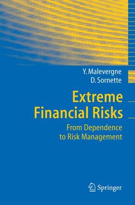 Sornette / Malevergne | Extreme Financial Risks | Buch | 978-3-540-27264-9 | sack.de