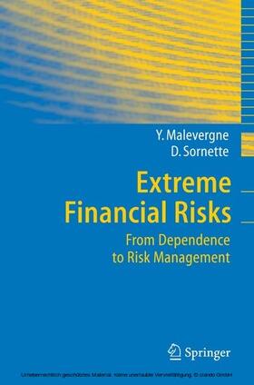 Malevergne / Sornette | Extreme Financial Risks | E-Book | sack.de