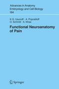 Usunoff / Wree / Popratiloff |  Functional Neuroanatomy of Pain | Buch |  Sack Fachmedien
