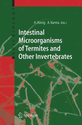 Varma / König |  Intestinal Microorganisms of Termites and Other Invertebrates | Buch |  Sack Fachmedien