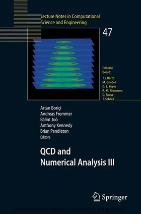 Boriçi / Bori~i / Frommer |  QCD and Numerical Analysis III | eBook | Sack Fachmedien
