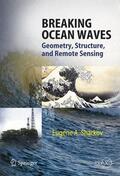 Sharkov |  Breaking Ocean Waves | Buch |  Sack Fachmedien