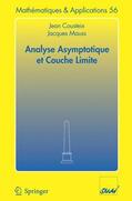 Mauss / Cousteix |  Analyse asymptotique et couche limite | Buch |  Sack Fachmedien