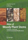 Schweingruber / Börner / Schulze |  Atlas of Woody Plant Stems | Buch |  Sack Fachmedien