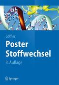 Löffler |  Poster Stoffwechsel | Sonstiges |  Sack Fachmedien