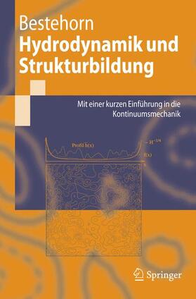 Bestehorn |  Hydrodynamik und Strukturbildung | Buch |  Sack Fachmedien