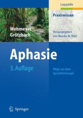 Schöler / Grötzbach | Aphasie | Buch | 978-3-540-34139-0 | sack.de