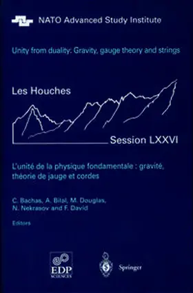 Bachas / Bilal / Douglas |  Unity from Duality: Gravity, Gauge Theory and Strings | eBook | Sack Fachmedien