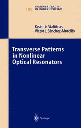 Staliunas / Sánchez-Morcillo | Transverse Patterns in Nonlinear Optical Resonators | E-Book | www.sack.de