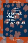 Gnecco / Meyer |  Fundamentals of Friction and Wear | Buch |  Sack Fachmedien