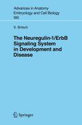 Britsch |  The Neuregulin-I/ErbB Signaling System in Development and Disease | Buch |  Sack Fachmedien