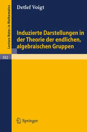 Voigt | Induzierte Darstellungen in der Theorie der endlichen, algebraischen Gruppen | E-Book | www.sack.de
