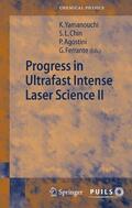 Chin / Yamanouchi / Agostini |  Progress in Ultrafast Intense Laser Science II | eBook | Sack Fachmedien
