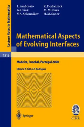 Ambrosio / Colli / Deckelnick | Mathematical Aspects of Evolving Interfaces | E-Book | sack.de