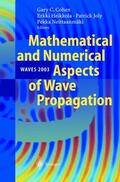Cohen / Heikkola / Joly |  Mathematical and Numerical Aspects of Wave Propagation WAVES 2003 | Buch |  Sack Fachmedien