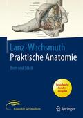 Lang / Wachsmuth |  Bein und Statik | Buch |  Sack Fachmedien